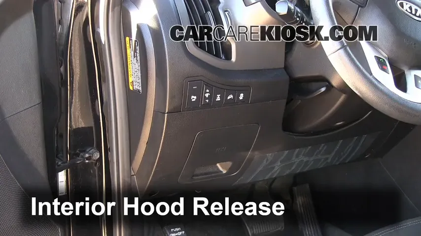 2012 Kia Sportage EX 2.4L 4 Cyl. Hood
